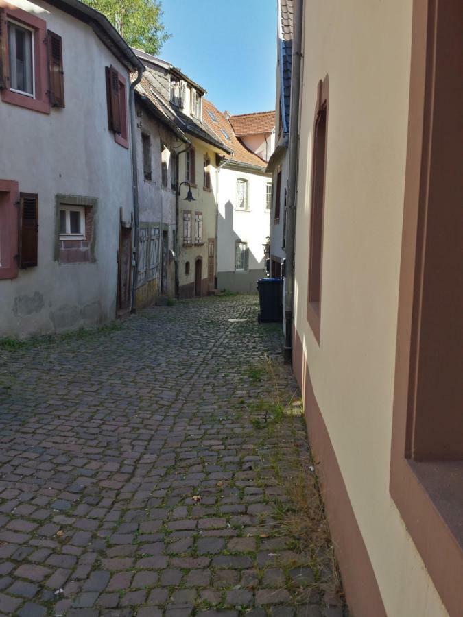 Moderne Wohnung In Barockem Altstadthaus Nahe Altstadt Und Radweg Blieskastel Exterior photo