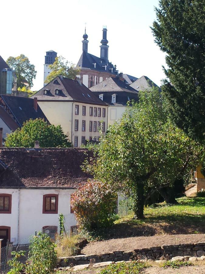 Moderne Wohnung In Barockem Altstadthaus Nahe Altstadt Und Radweg Blieskastel Exterior photo